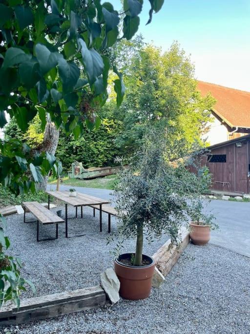 Zauberhafte Ferienscheune Im Hofgut Alte Oelmuehle Engen Kültér fotó