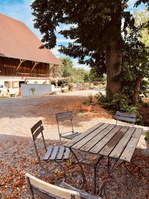 Zauberhafte Ferienscheune Im Hofgut Alte Oelmuehle Engen Kültér fotó
